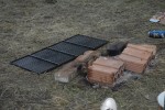 0765_napushtena_reshetka.jpg