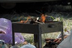 DSC_0154.JPG